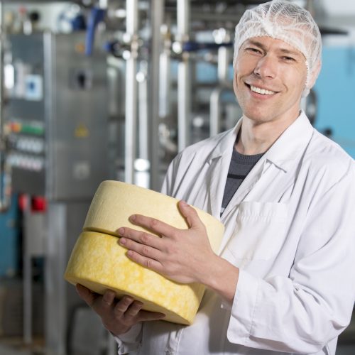 Cheese processing plant